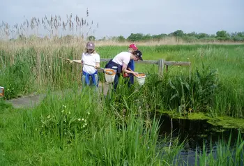 Children with nets explore Darlow's Farm
