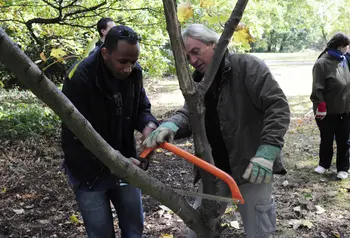 Trainer showing participant how to prune a tree