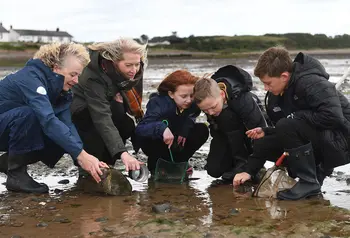 Five people, including three children are using nets 