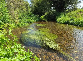 A wide, shallow river in Herefordshire borded by green vegetation and woodland