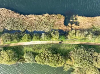 Aerial view of an accessible path along a coastal wetland landscape. Either side of the path are trees and vegetation, with blue water beyond