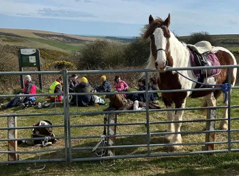 A horse looking over a fence in front of a group of people sitting in a field