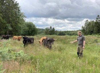 Habitat management work in Forest of Dean as part of the project