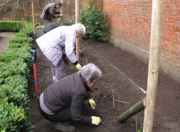 Four people tending to garden bed