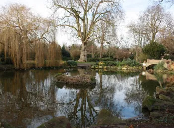 The pond at Cedar Park