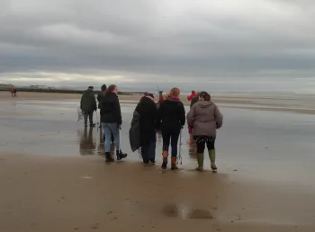 Living Seas Wales: Moroedd Byw Cymru