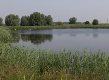 Conservation and restoration at The Great Fen 