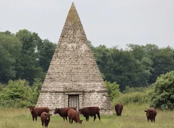 Lincoln Red cattle graze fields in front of a stone ornamental feature shaped like a pyramid