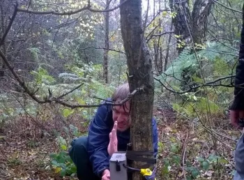Putting out the camera traps to explore the local wildlife