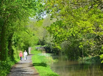 Canal path at Monmouthshire and Brecon Canal