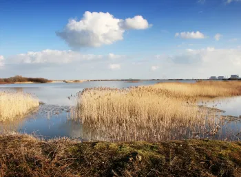 view of Dungeness in South Kent