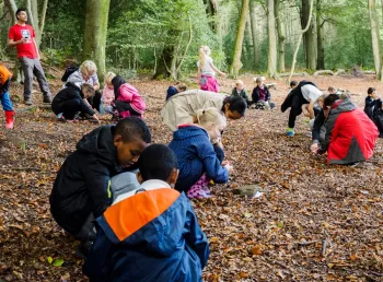 Pupils from St Thomas More Catholic Primary at Greno Woods in Sheffield