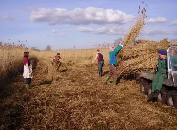 The Great Fen is one of the largest restoration projects of its type in Europe