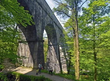 Treffry Viaduct