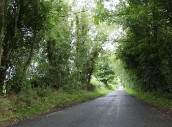 The evocative Lagans Road, from the poem 'Edward Thomas on the Lagans Road'