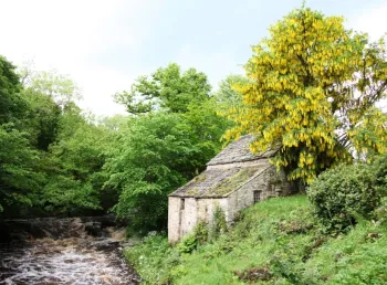 Linnels Mill on the banks of Devils Water