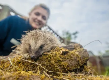 Hedgehog Officer Ali North with a hedgehog