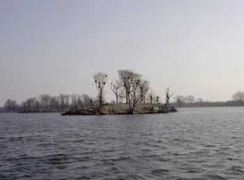 The Walthamstow Reservoirs site in North East London