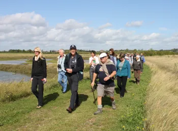 Guided walk at Abbotts Hall Farm
