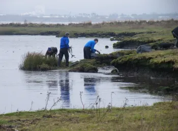 Conservation volunteers at Kinneil lagoons