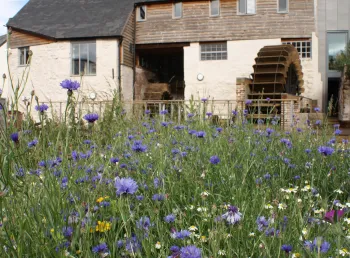 Exterior of Cricklepit Mill