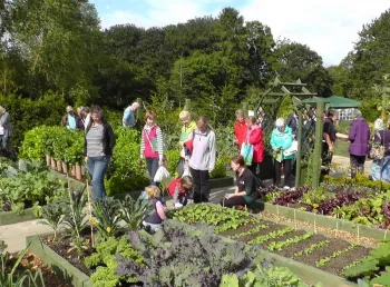People visiting the Dig For Victory First World War allotment