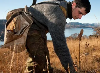 A person plants a tree sapling