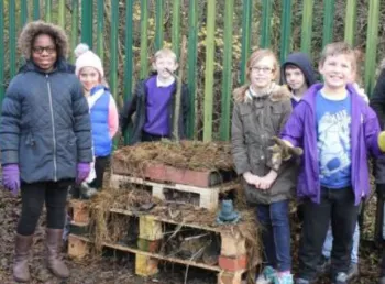 Help for Hedgehogs