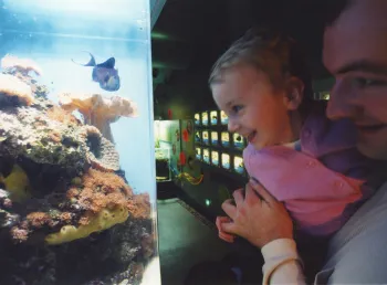 A child looks at exhibits at the Horniman Museum