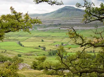 Ingleborough Dales