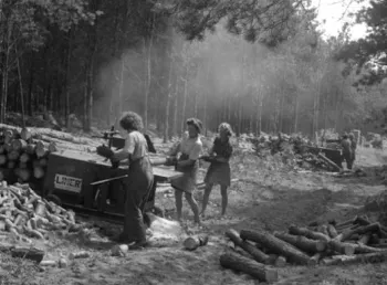 Lumber Jills at work in a forest during the Second World War