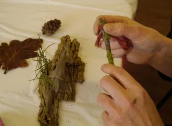 Participant feeling a piece of bark along with other items from the natural environment