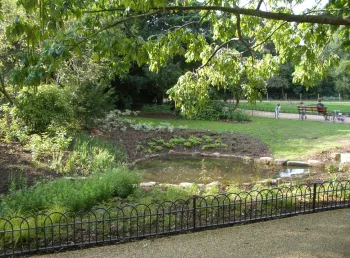 Pond and park bench in Peckham Rye Park