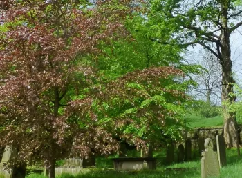 Raikes Road Burial Ground