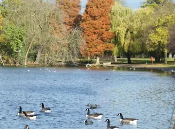 Raphael Park