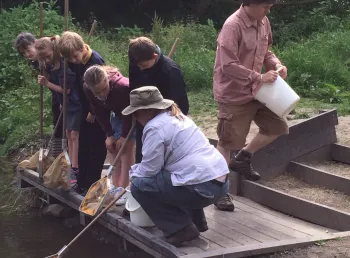 Local school children have a go at pond dipping