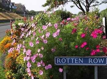 Rotten Row's flowers in bloom