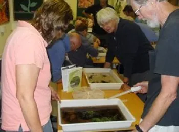 Volunteers being trained to identify riverfly as part of the Teme River Communities project
