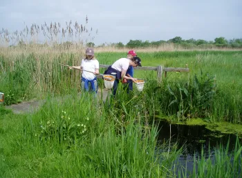 Children with nets explore Darlow's Farm