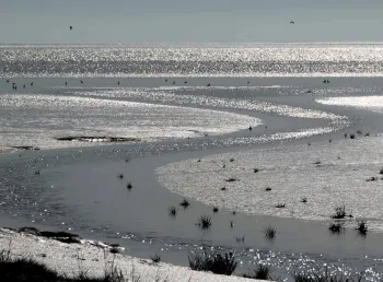 The wet landscape of Morecambe Bay.