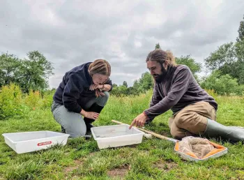 Two people sat on the grass looking and pointing into a shallow plastic box with water. There is a net beside them.
