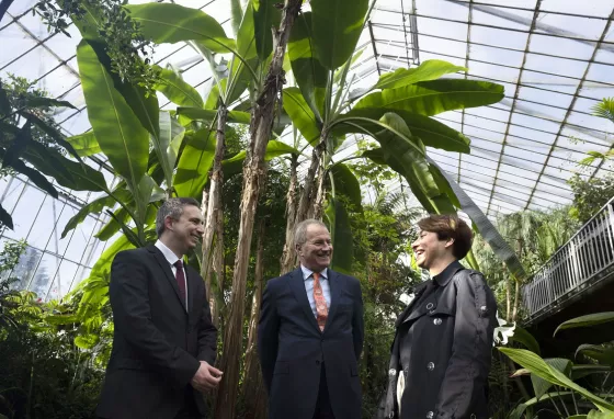 Three people standing underneath a big palm tree in a conservatory 