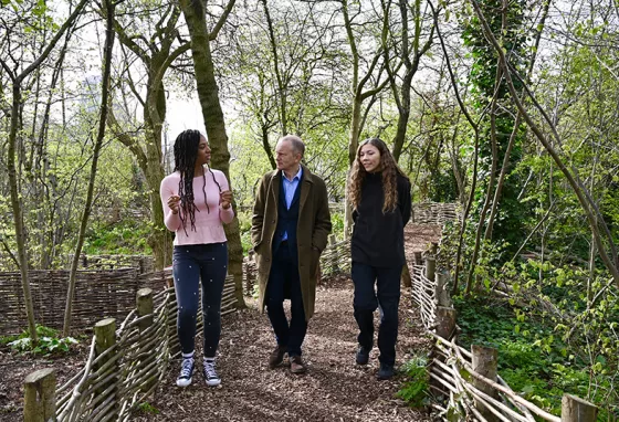 Three people walking in woodland