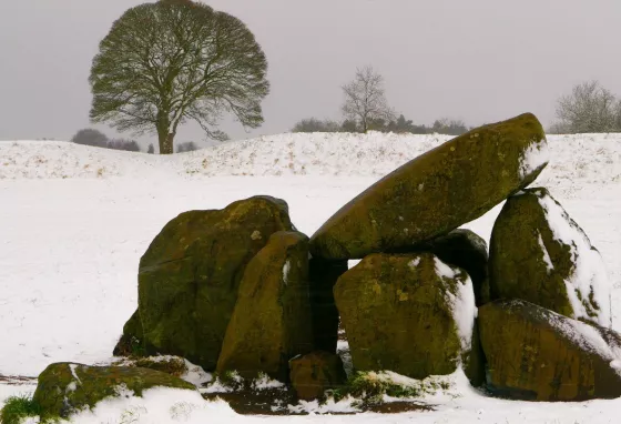 Group of assembled large stones covered in snow, with a tree in the background