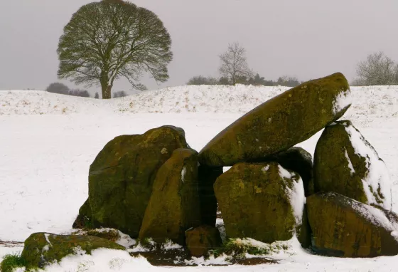 New COVID-19 recovery funding for organisations and individuals in Northern Ireland Group of assembled large stones covered in snow, with a tree in the background