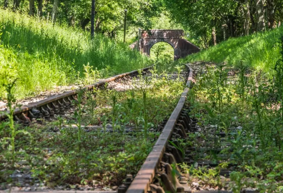 Our heritage railways saved from 'serious jeopardy' Overgrown railway