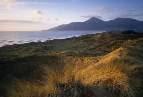 Join our Committee for Northern Ireland Natural landscape nearby body of water with mountains in background