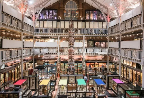 The inside of the PItt Rivers Museum, a large open indoor space with exhibition cases
