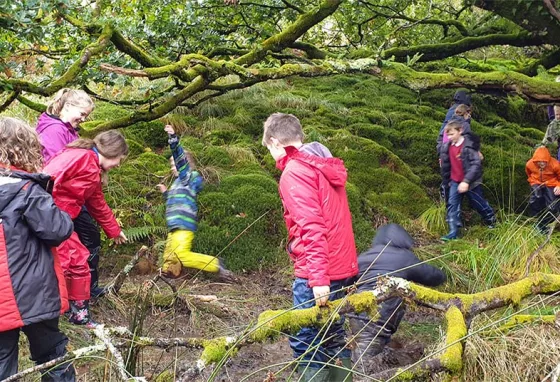 A group of children wearing wellies and coats explore a woodland