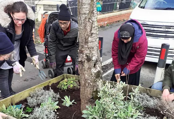 A group of volunteers from diverse ethnic communities gardening in a planter on a street